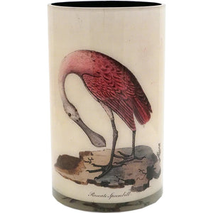 John Derian Birds 12" Decoupage Cylinder Vase with Liner