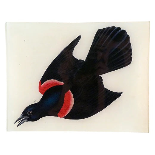 John Derian Red Winged Starling 8" x 10.5" Rectangular Decoupage Tray