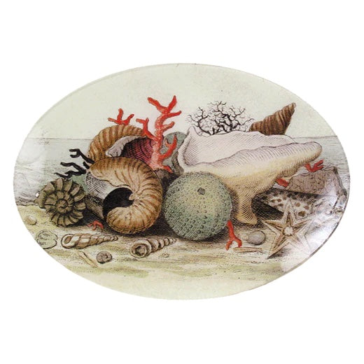 John Derian 7" x 10" Shells circa 1755 Oval Decoupage Tray