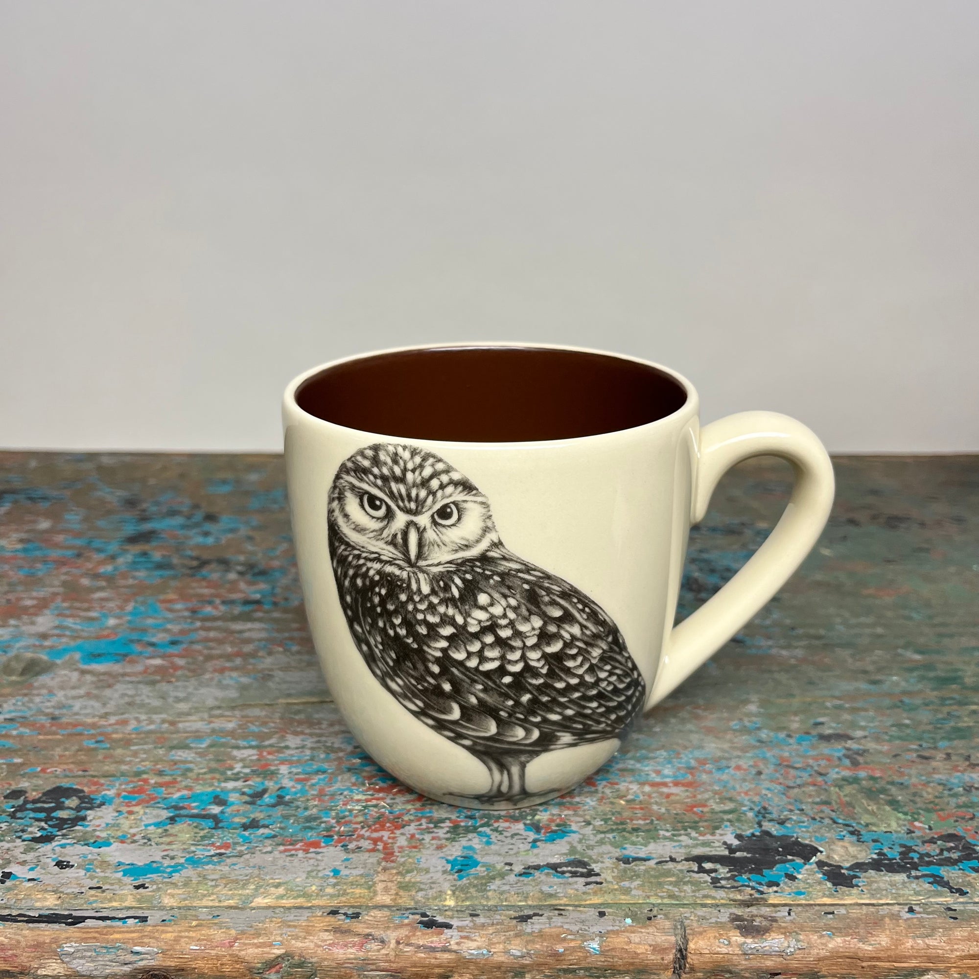 Laura Zindel Burrowing Owl Mug