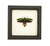 Opulent Jewel Beetle Framed
