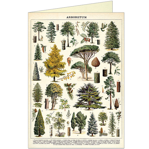 Arboretum Greeting Card