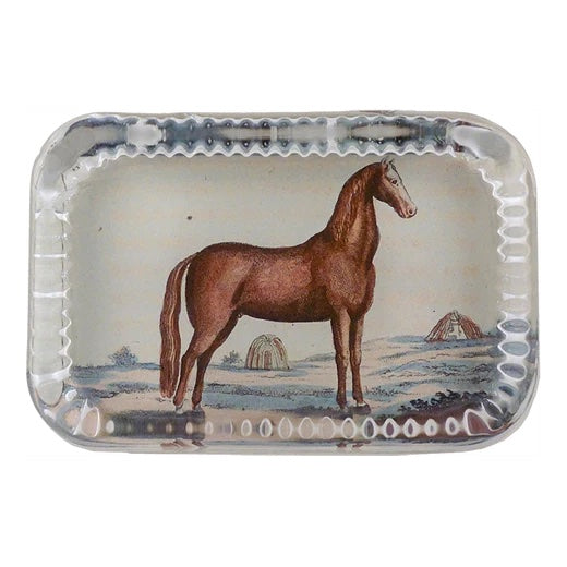 John Derian Brown Horse Dotted Edge Paperweight