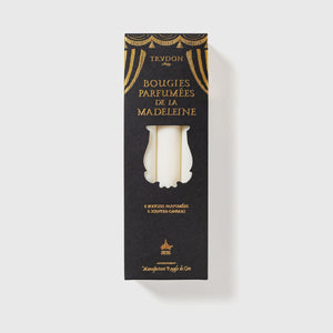 Trudon Madeleine Fir Scented Taper Candles Set of 6