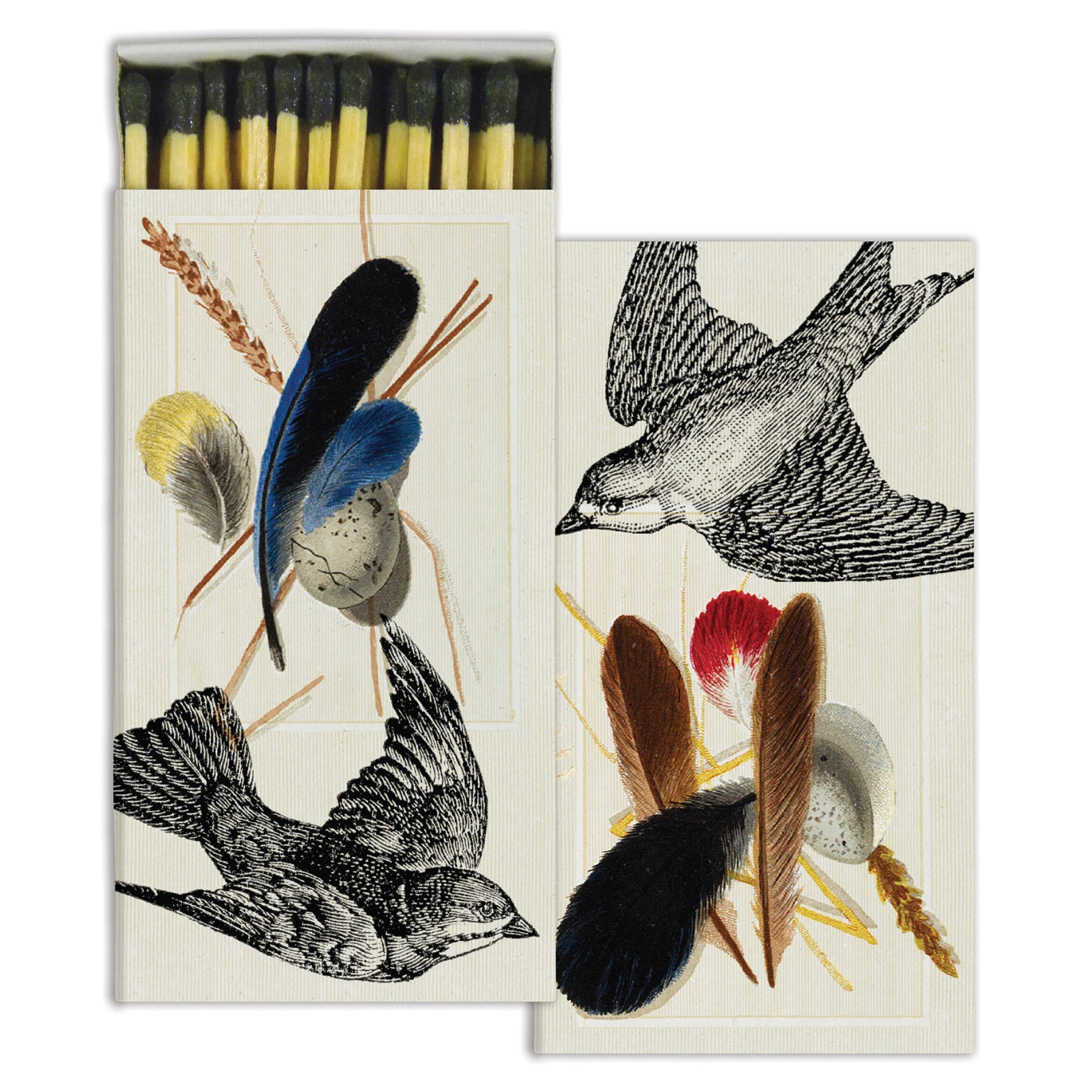 Sparrows and Specimens Matches