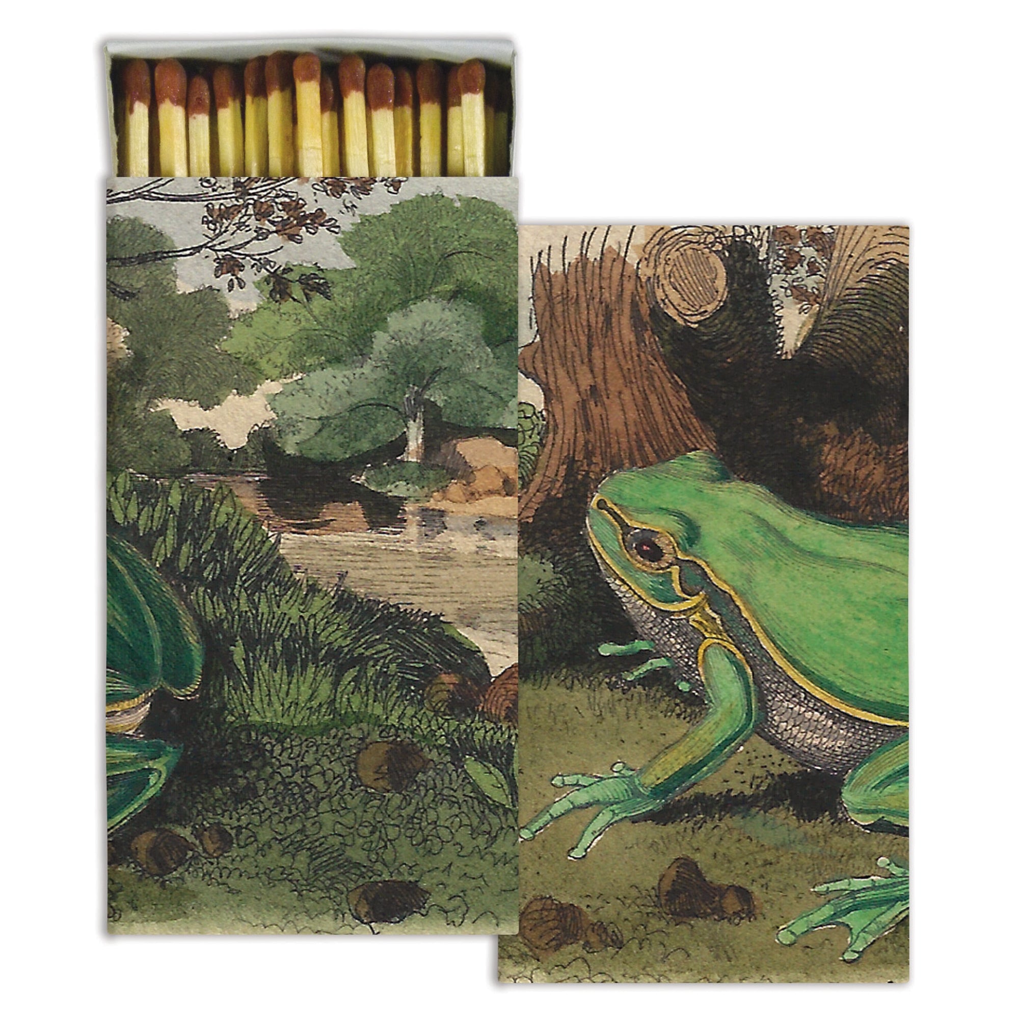 Landscape with Frog Matches