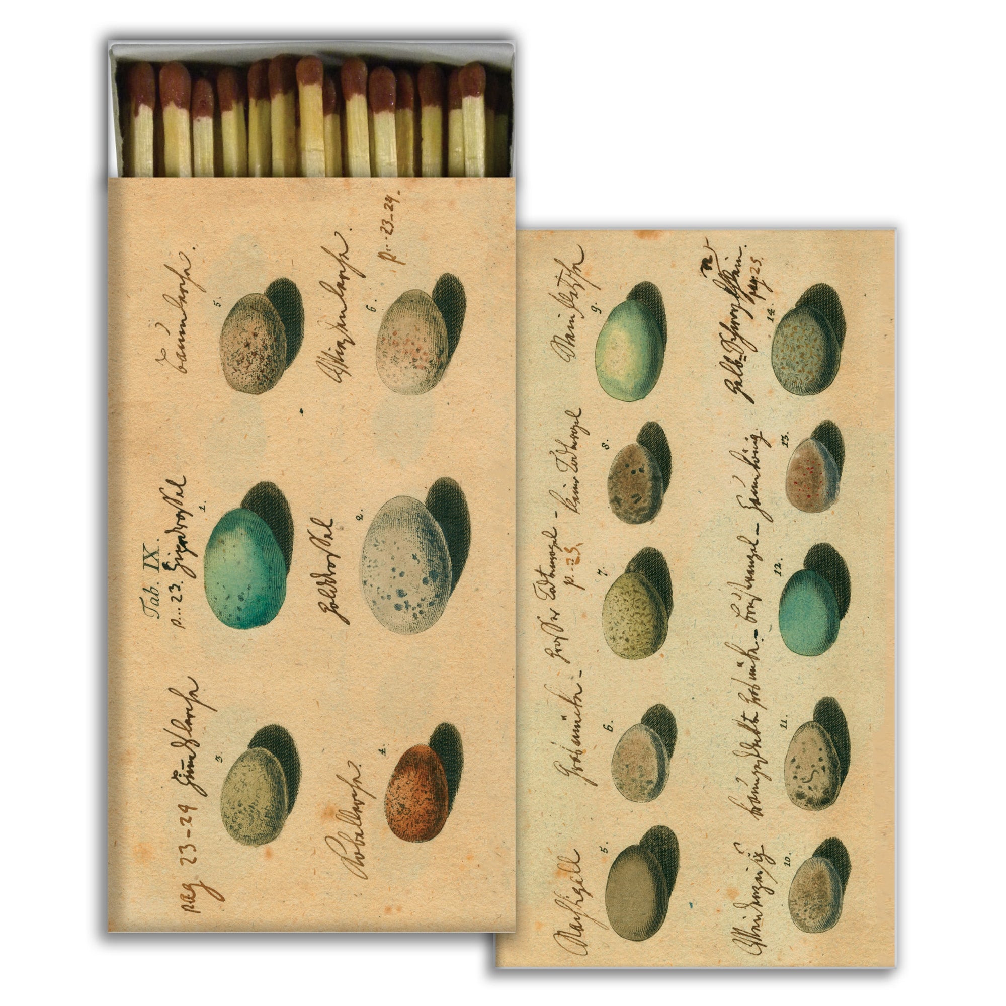 John Derian Eggs Matches