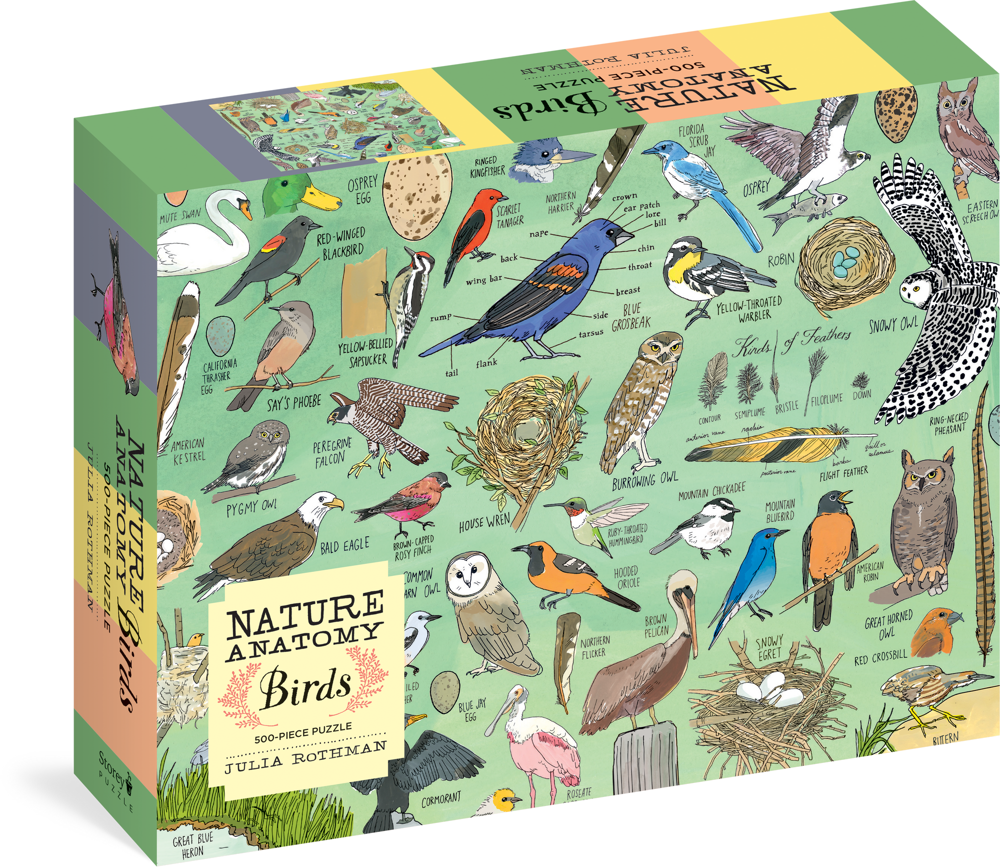 Nature Anatomy:  Birds Puzzle 500 pieces