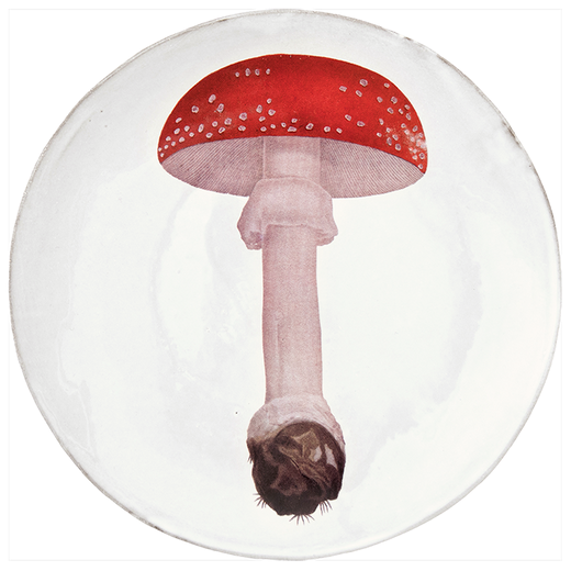 Astier de Villatte John Derian Medium Agaric Fausse Oronge Umbrella Mushroom Plate