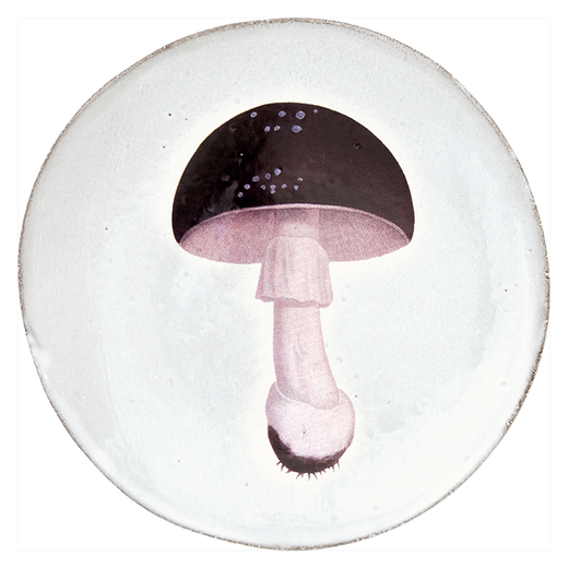 Astier de Villatte John Derian Medium Agaric Fuligineux Mushroom Plate
