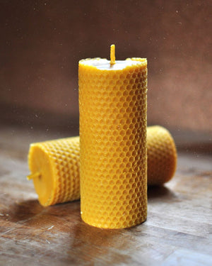 Ambroise Beeswax Pillar Candle Box of 2