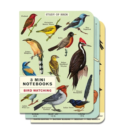 Birdwatching 3 Mini Notebooks