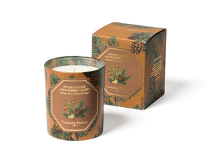 Carriere Freres Siberian Pine and Candied Ginger Holiday Candle