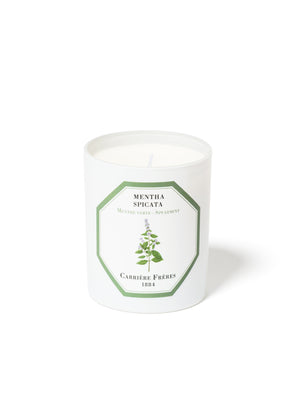 Carriere Freres Spearmint Scented Candle