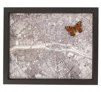 Framed Map of Paris with Native Butterfly