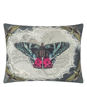 John Derian Heaven's Zinc Sepia Decorative Pillow 24" x 18"