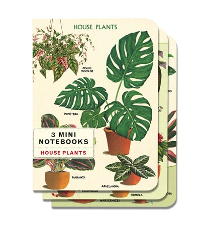 Houseplants 3 Mini Notebooks