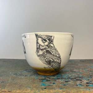 Laura Zindel Screech Owl #1 Small Bowl