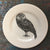 Laura Zindel Burrowing Owl Bistro Plate