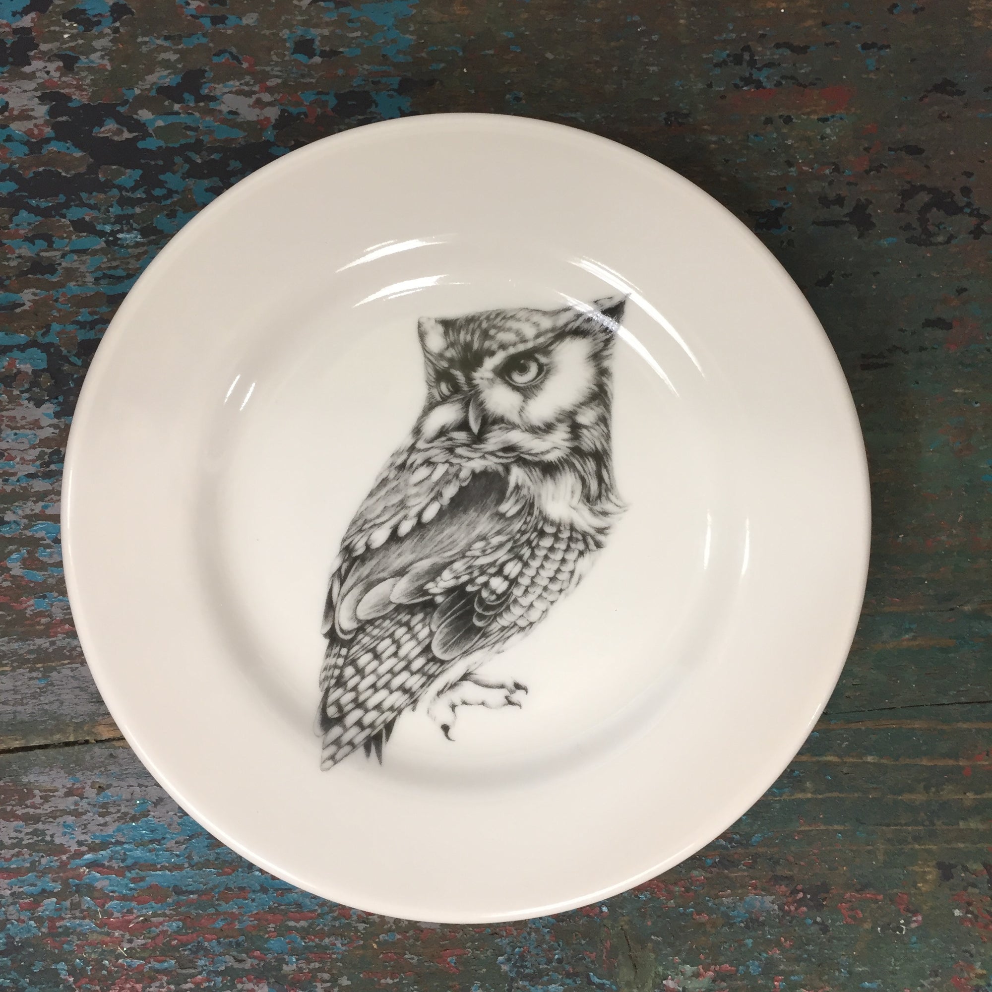 Laura Zindel Screech Owl #1 Bistro Plate