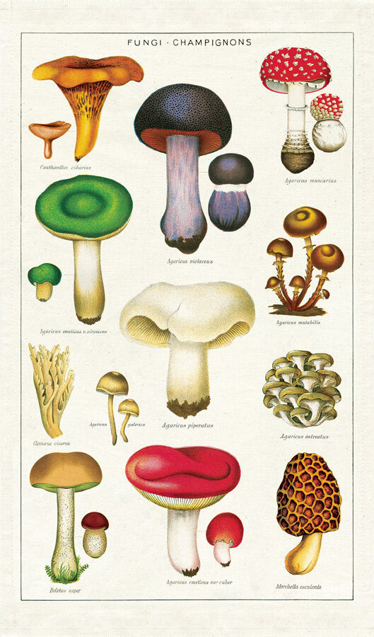 Mushrooms Tea Towel