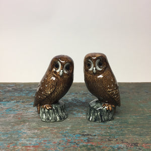 Tawny Owl Salt & Pepper
