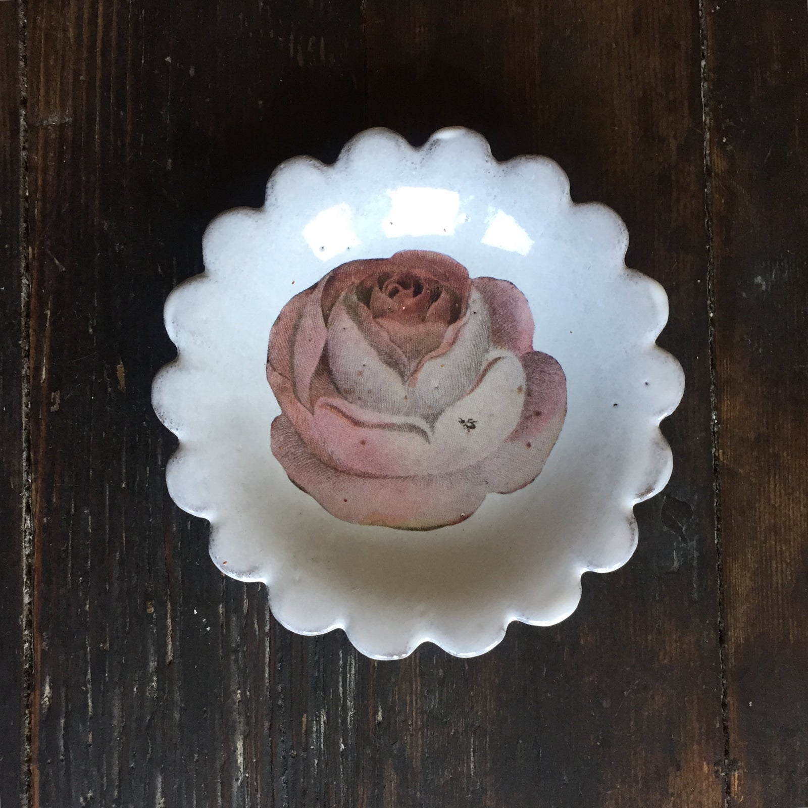 Astier de Villatte John Derian Rose Saucer
