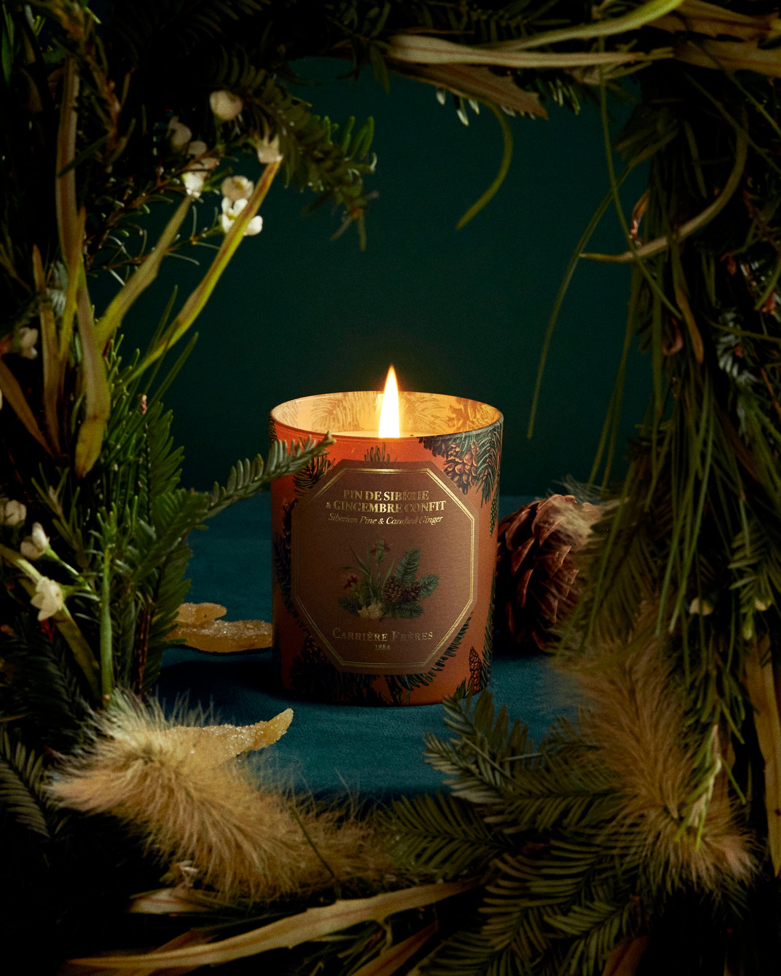 Carriere Freres Siberian Pine and Candied Ginger Holiday Candle