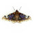 Small Emperor Moth Brooch Pin