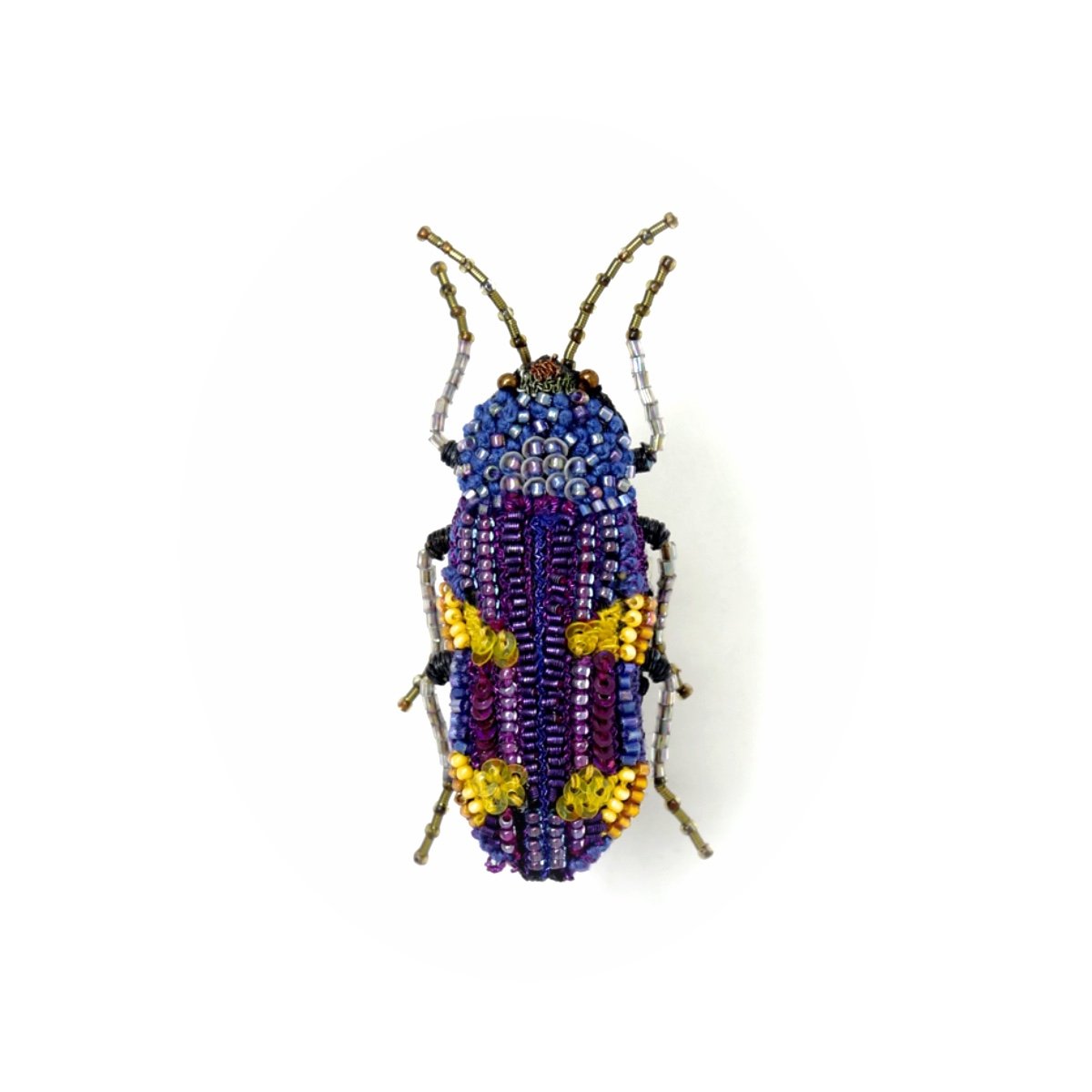 Castiarina Beetle Brooch