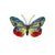 Cepora Butterfly Brooch