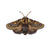 Gold Moth Brooch