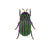 Green Grazer Beetle Brooch