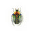 Jousselini Beetle Brooch