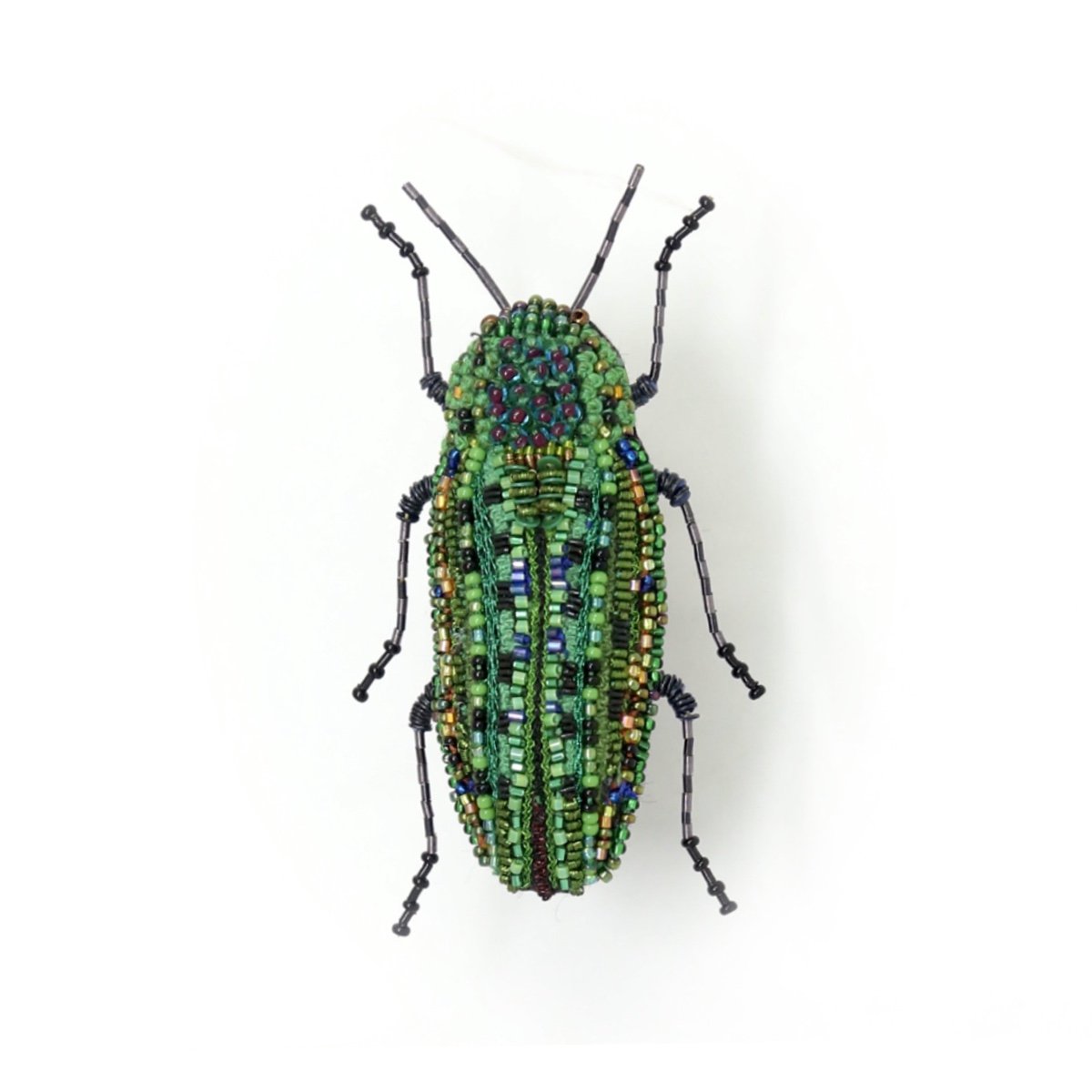 Lamprodila Beetle Brooch