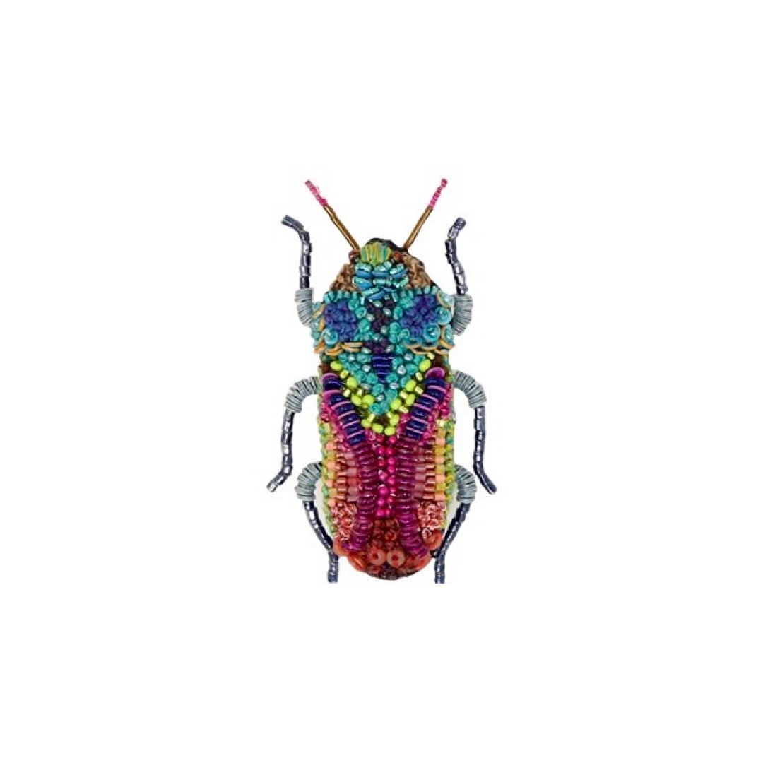 Moroccan Jewel Beetle Brooch