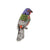 Painted Bunting Brooch