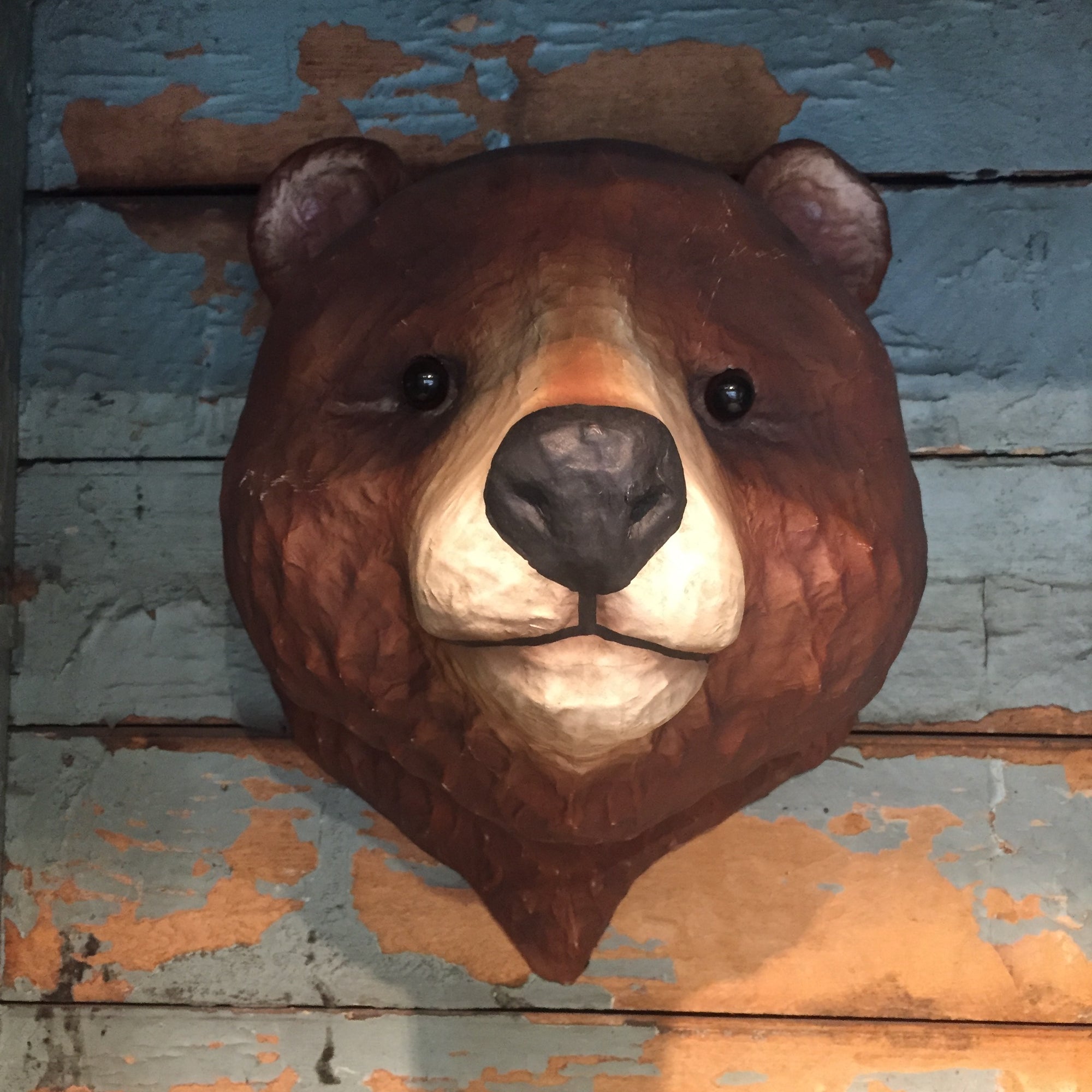 Brown Bear Mount