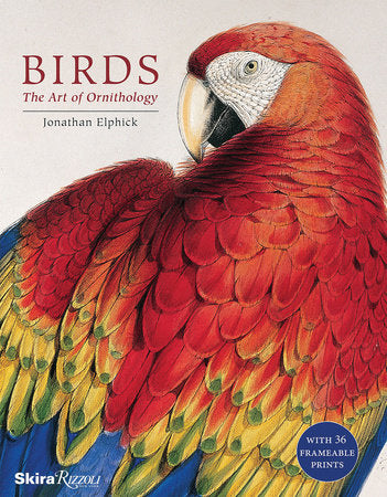 Birds.  The Art of Ornithology