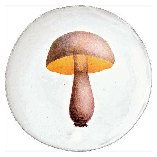 Astier de Villatte John Derian Medium Bolet Blanchâtre Mushroom Plate