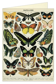 Butterflies Greeting Card & Envelope