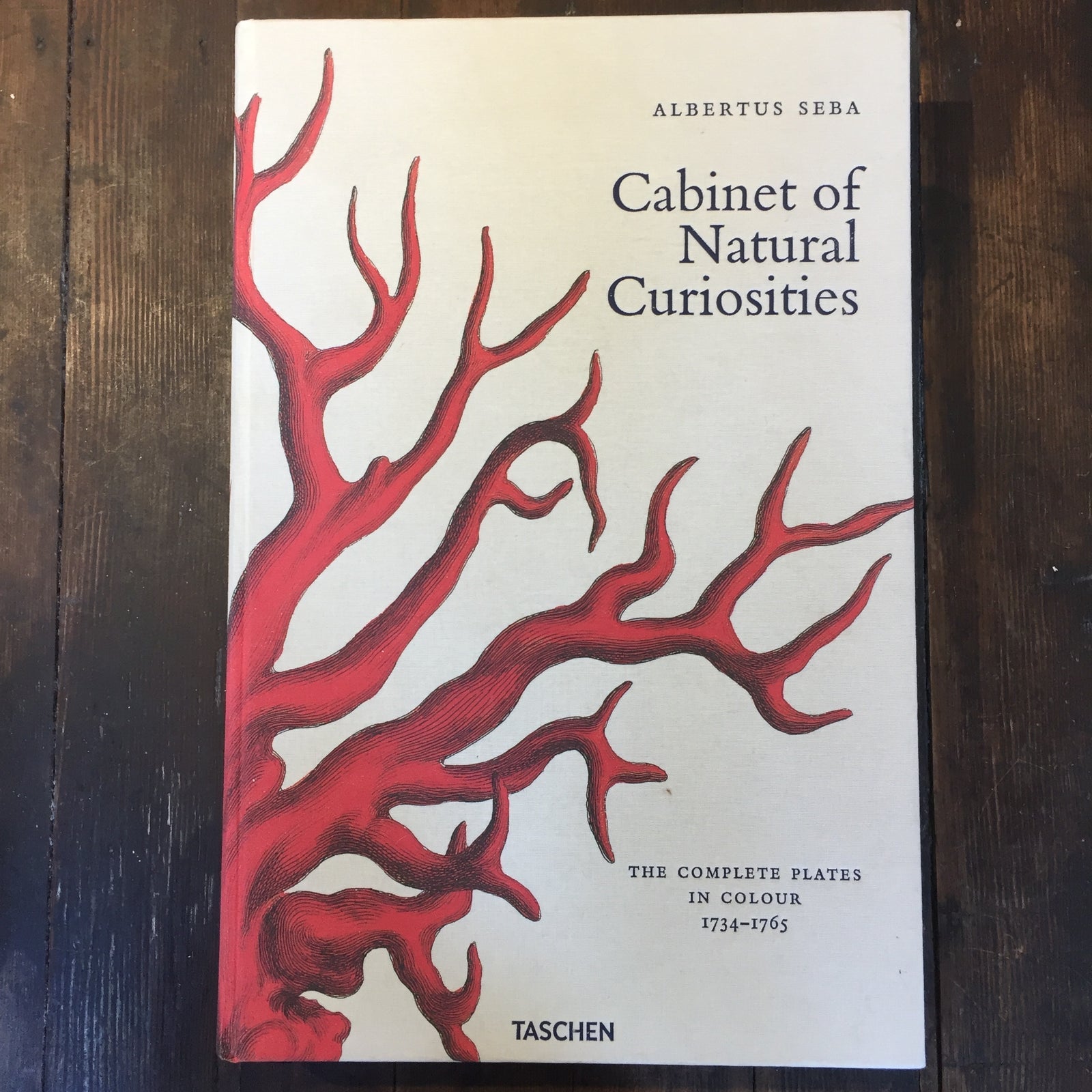 Sebas Cabinet of Natural Curiosities Large Edition