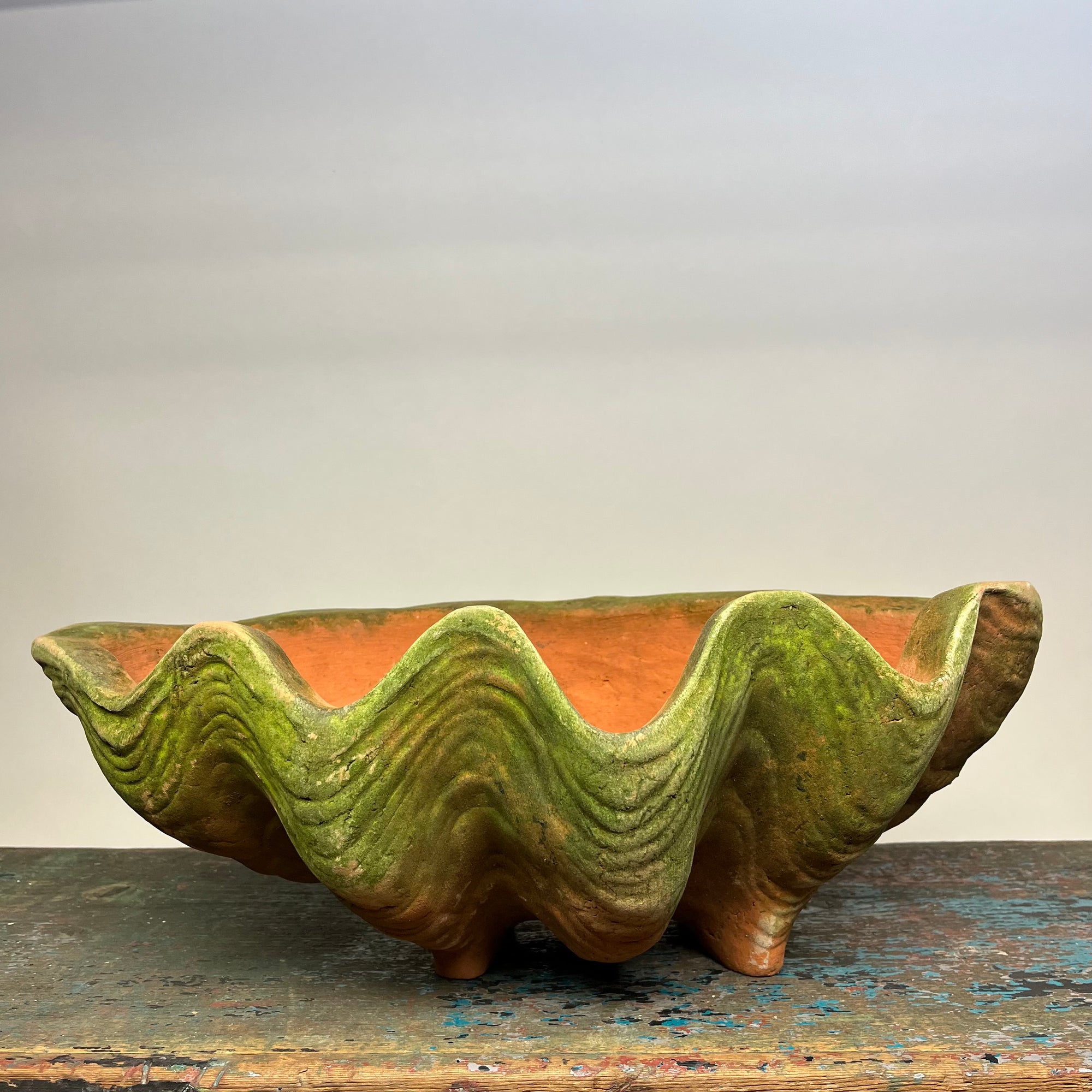Aged Terracotta Large Conch Shell Planter