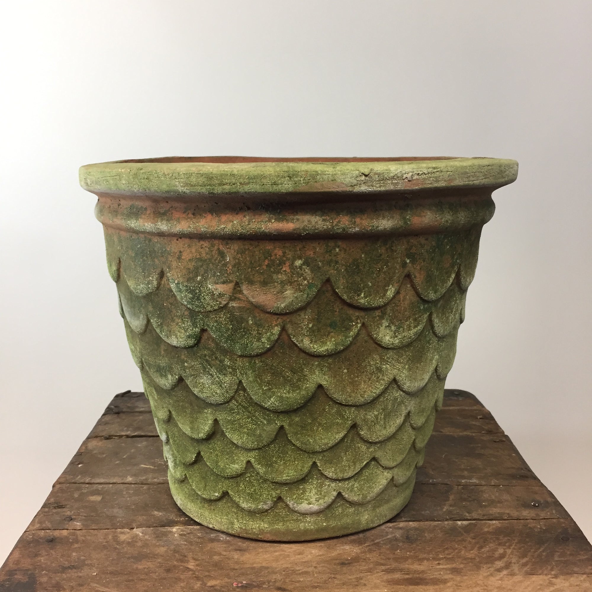 Dragonscale Aged Terracotta Pot. Large.