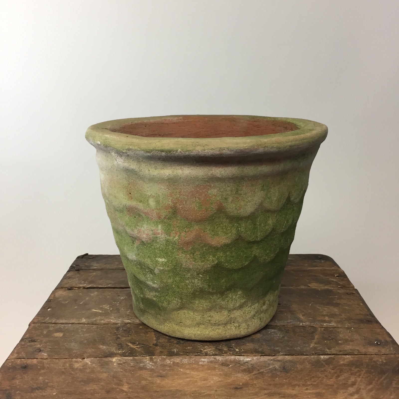 Dragonscale Aged Terracotta Pot Medium