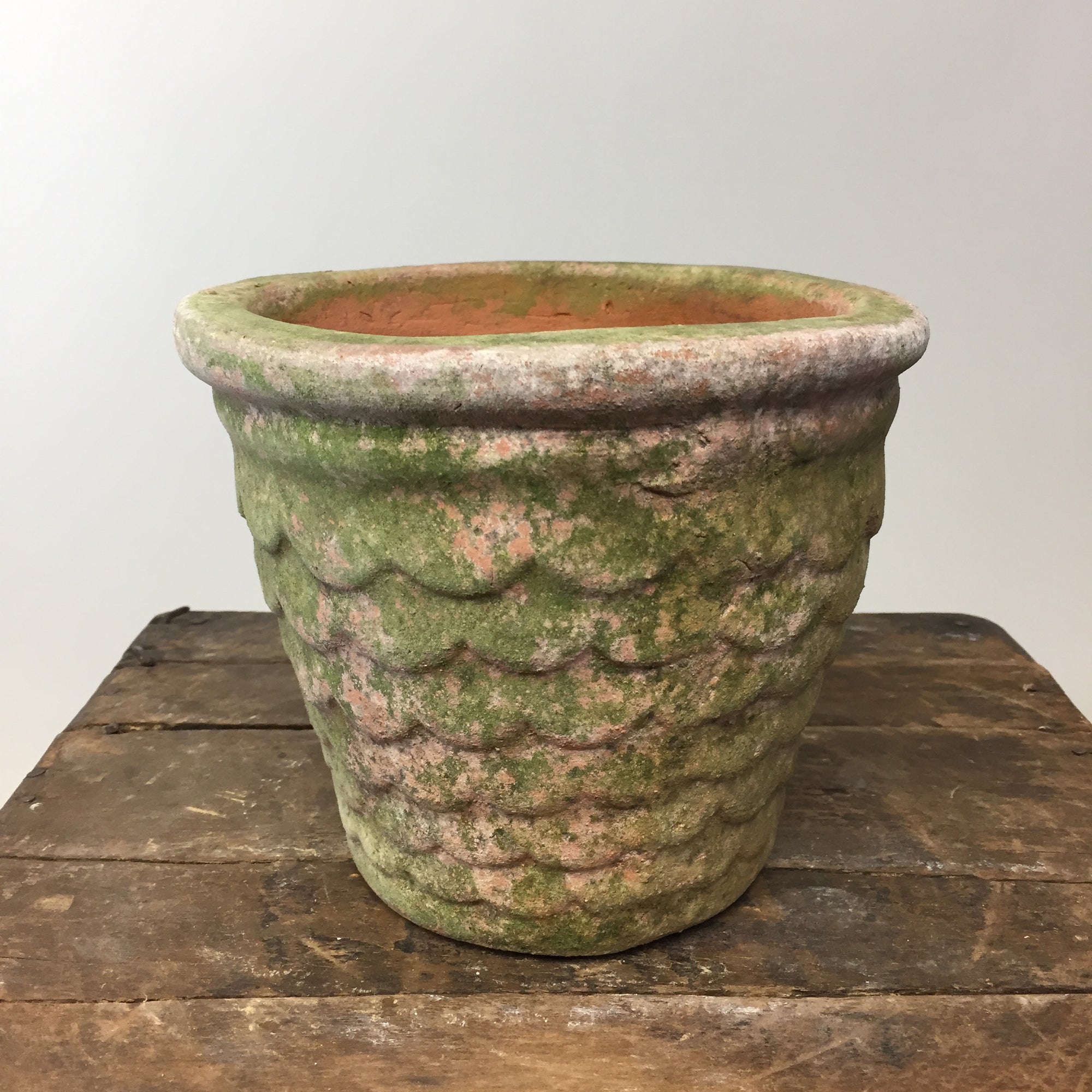 Dragonscale Aged Terracotta Pot Small.