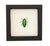 Jewel Beetle Sternocera aequisignata Framed