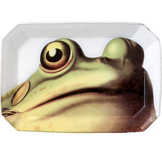 Astier de Villatte John Derian Frog Platter