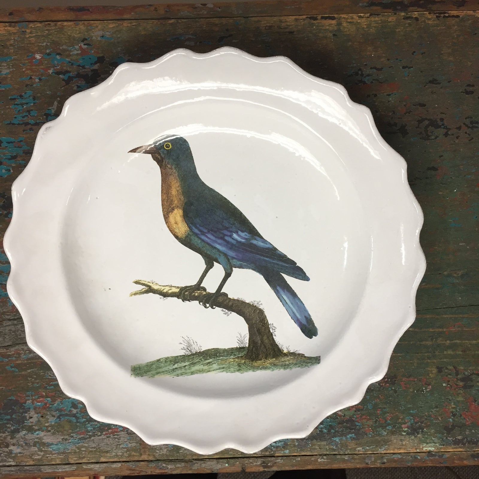 Astier de Villatte John Derian Good-Hope Jay Soup Plate