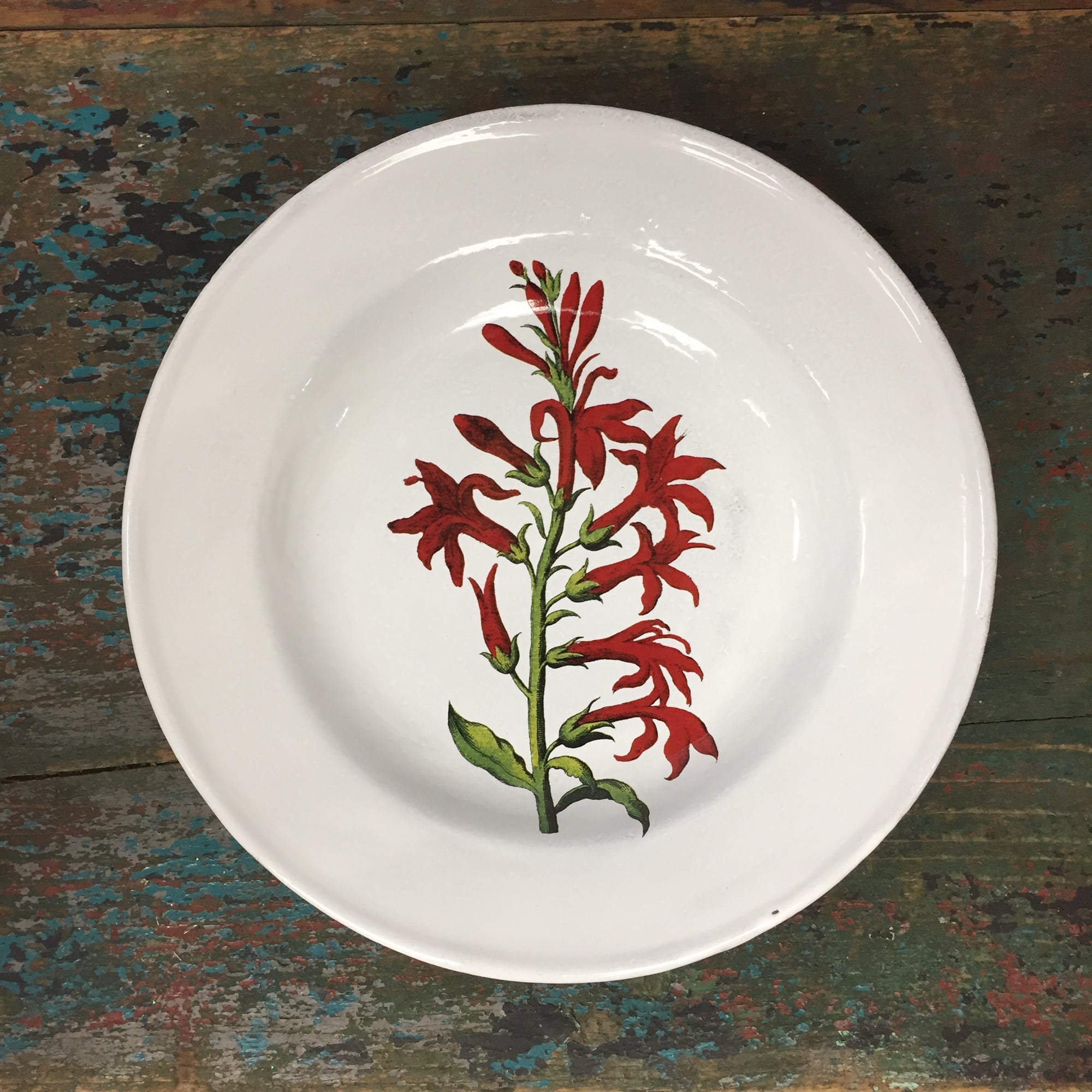 Astier de Villatte John Derian Cardinal Flower Soup Plate